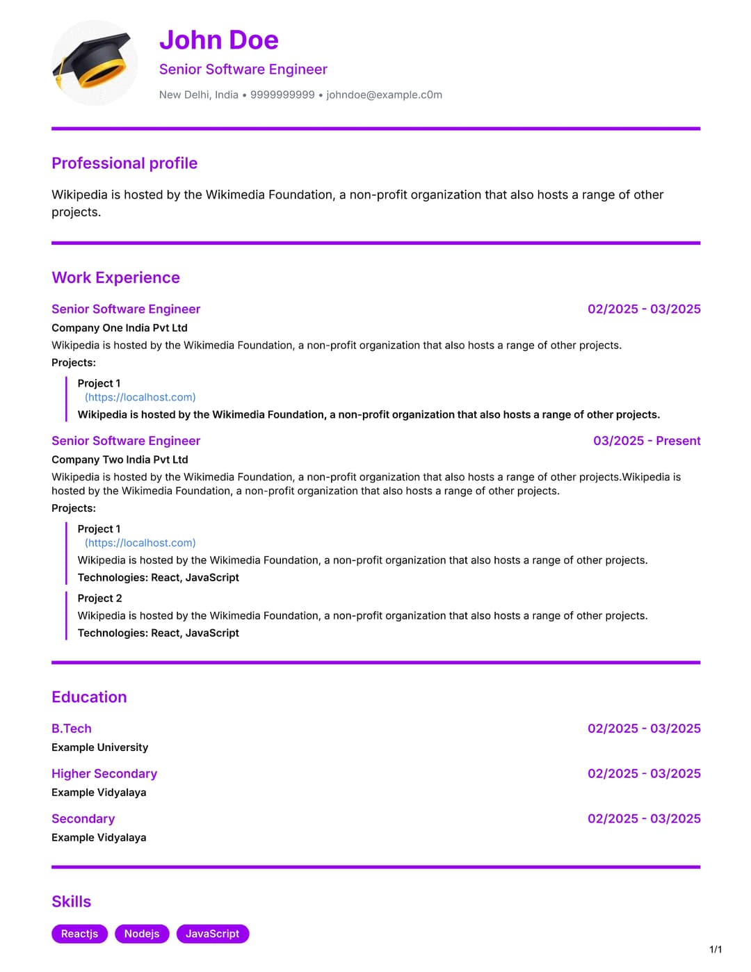 Professional resume template example created with AI Resume Builder